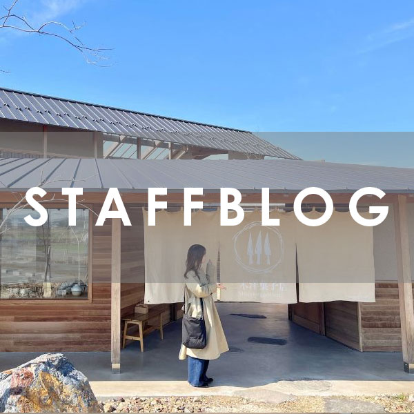 STAFFブログ