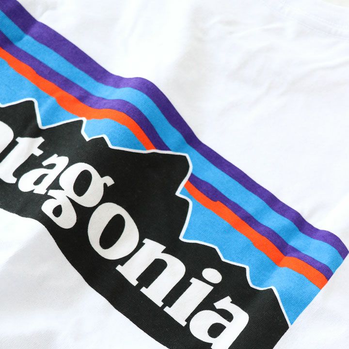 patagonia(パタゴニア) メンズ・ロングスリーブ・P-6ロゴ