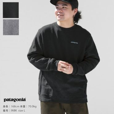 patagonia(パタゴニア) フィッツロイ・アイコン・アップライザル