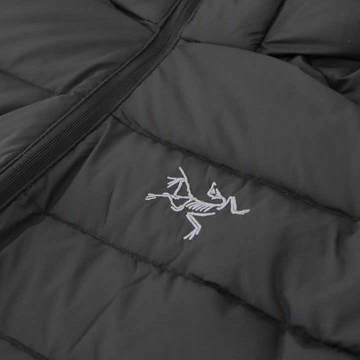 せりと ARC'TERYX(アークテリクス) セリウム フーディ メンズ(29675)の通販