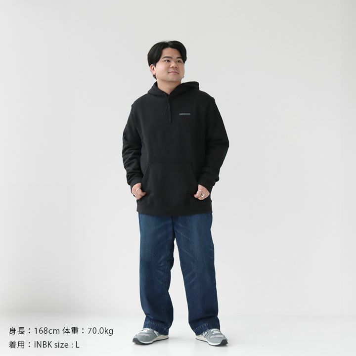 patagonia(パタゴニア) フィッツロイ・アイコン・アップライザル