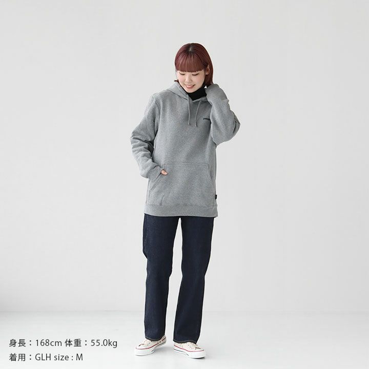 patagonia(パタゴニア) フィッツロイ・アイコン・アップライザル