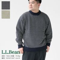 L.L.Bean(エルエルビーン) Wayne Washable バーズアイセーター(4575-8040)